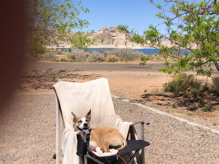 3C0FBC8A-82DE-42CC-9B67-C9A1722437AA