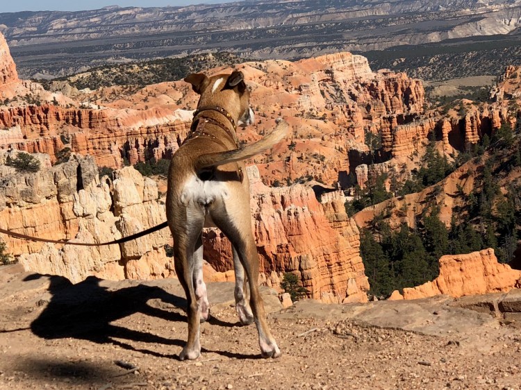 6D7E3200-B926-42C4-B5F5-F57D64BD6EC5