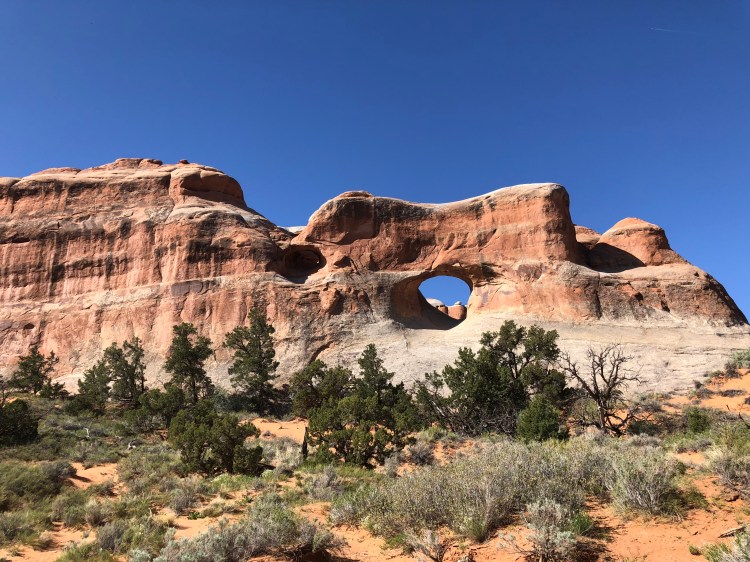 AC113710-6D67-49BE-951A-EB3E1D1DBDA7