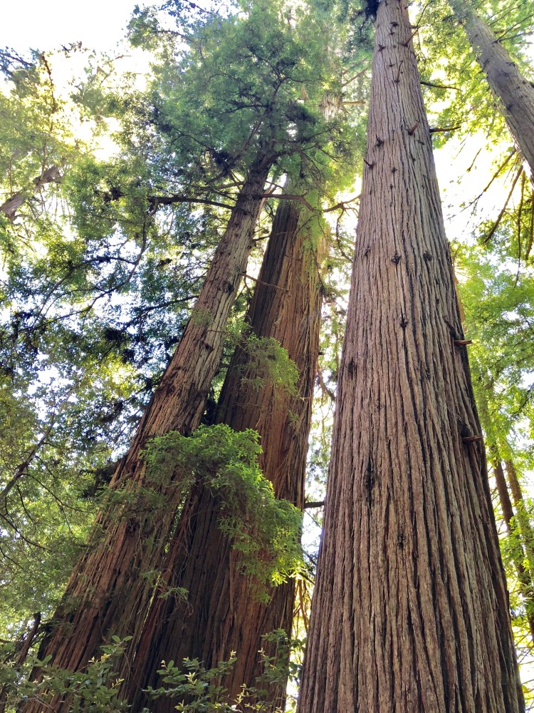 31A6DC10-F902-4993-A9EF-3CE277BF8DE4