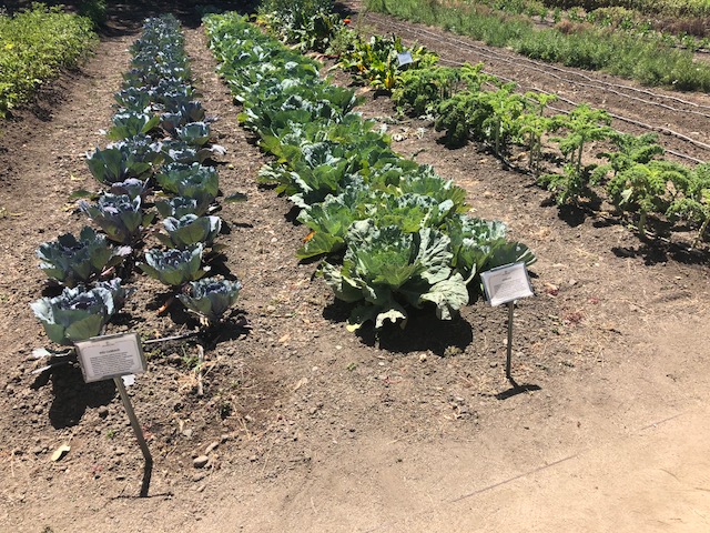 E8F16C3A-EEDB-44EE-8C7E-2C2C6F10D733