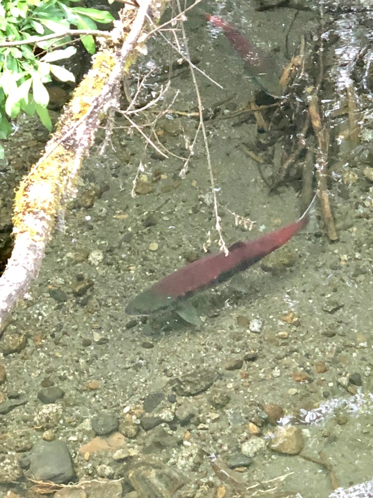 95155712-288D-4985-8850-30EE52933F40