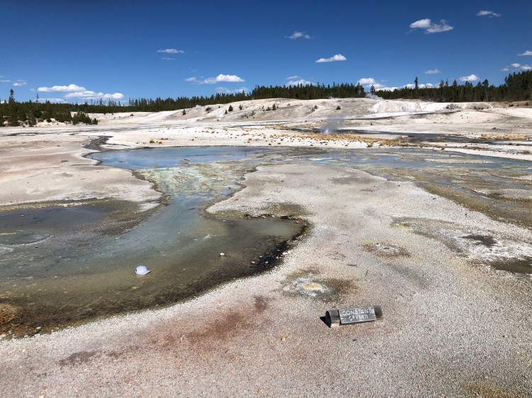 125BE043-41A8-4DCA-8EE3-3BDAFE6E01FE