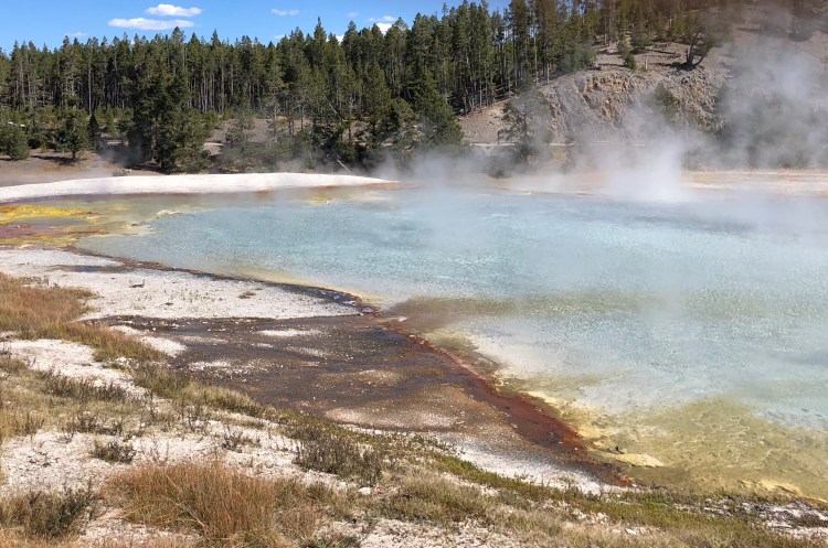 1A73F482-0B64-4706-AB35-EDE90522A2A9