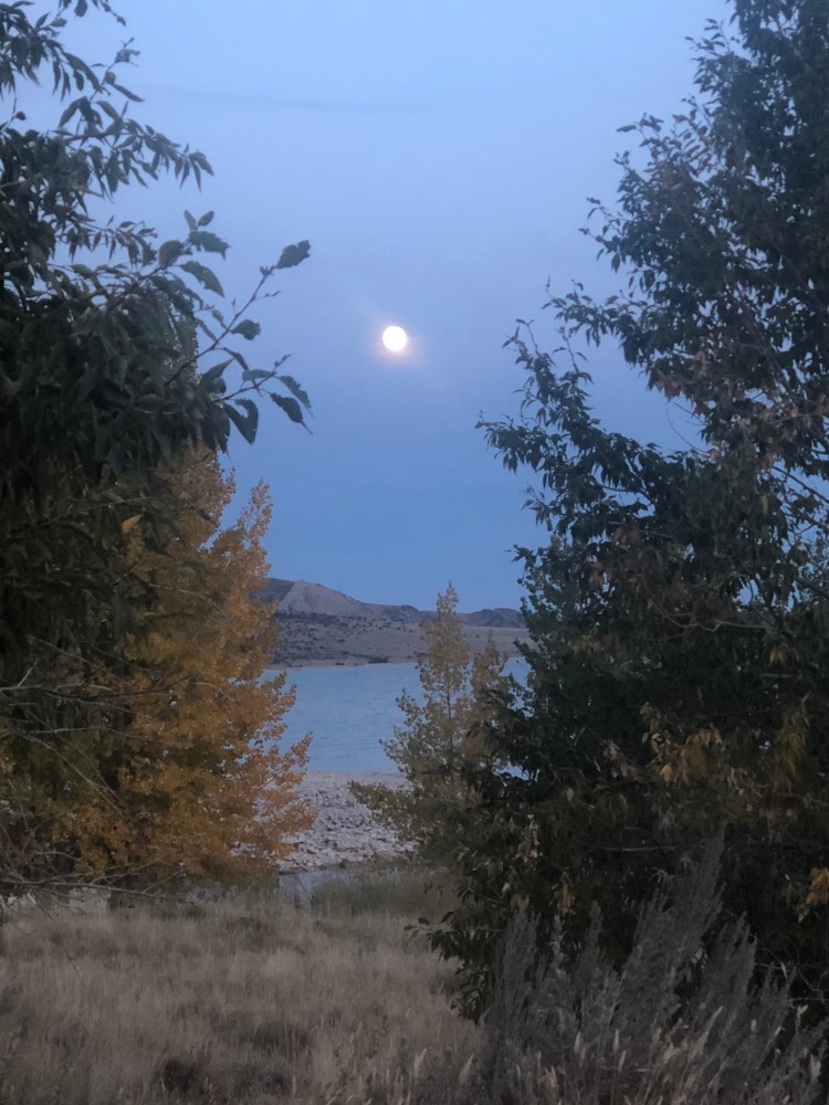 3205188F-D218-4A89-93FB-6BEE61BA18F9