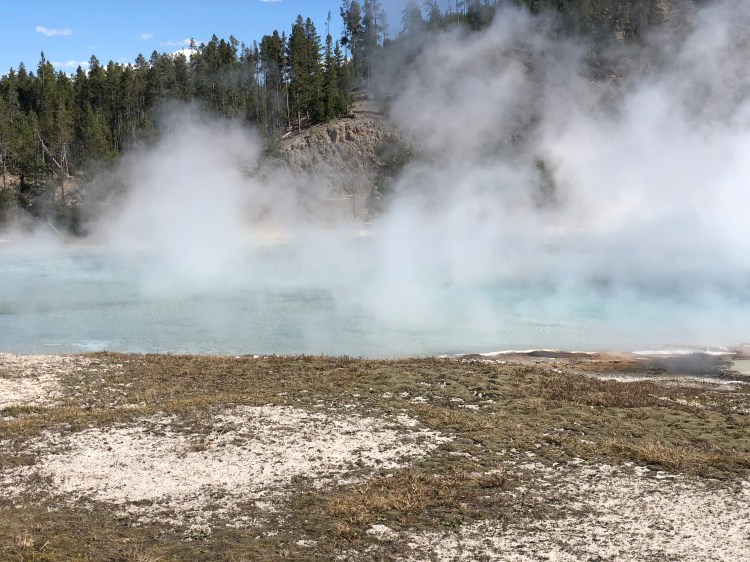 335FA8B6-5C86-421E-A5F2-5A075A14B3C7