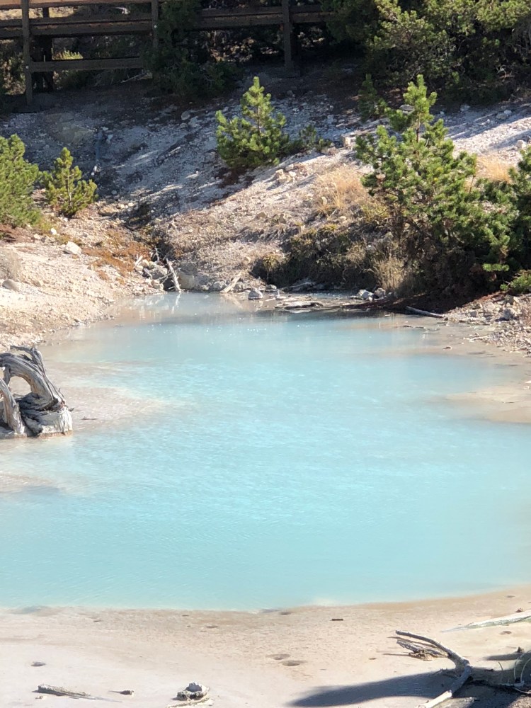 54E3F1AD-B82E-4F9C-82DB-0E2C40F4F901