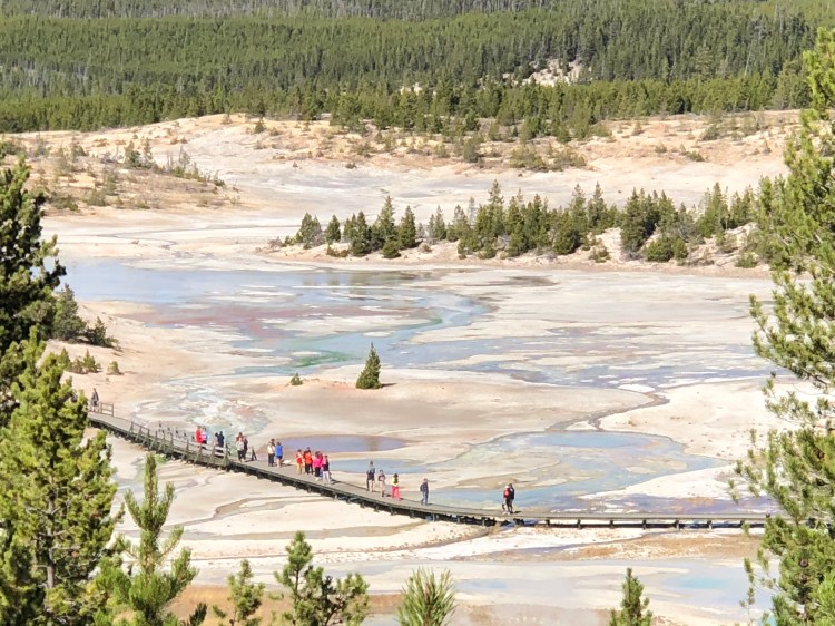 6839F097-B0A2-4BB2-AF45-FCDEFA64F062