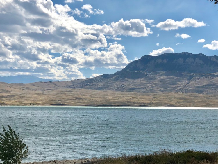 7D59EEF7-1A36-4241-A5CF-B0DB1E67AD0D