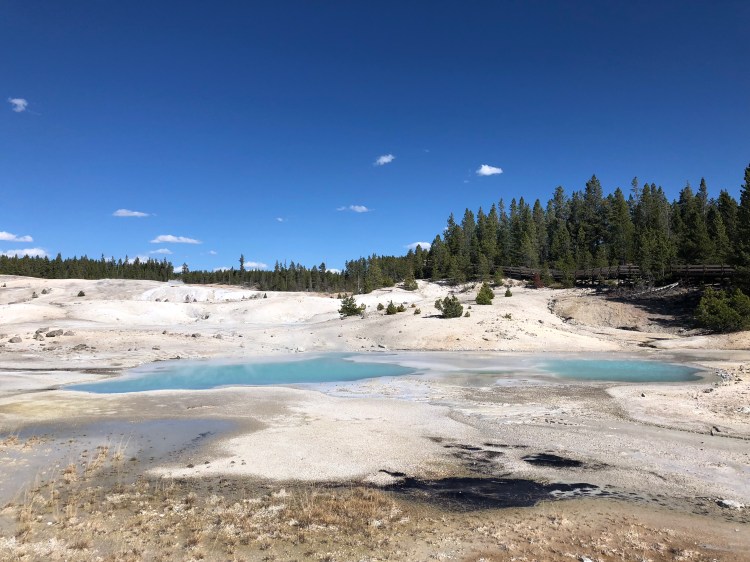 814F619B-8F49-4947-9516-D597C7AF53E0