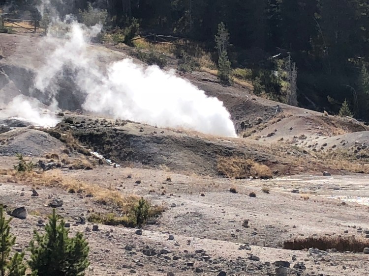 82419C80-3F12-4D16-91F8-B3CED78BE236