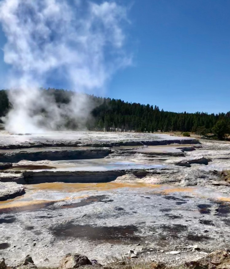 A8161C04-5C5A-40A1-B998-E6D5BC1B66BB