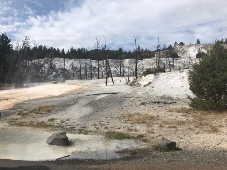 AFF5EAFC-C8C5-4287-B92F-1A6ED7B3D9EF