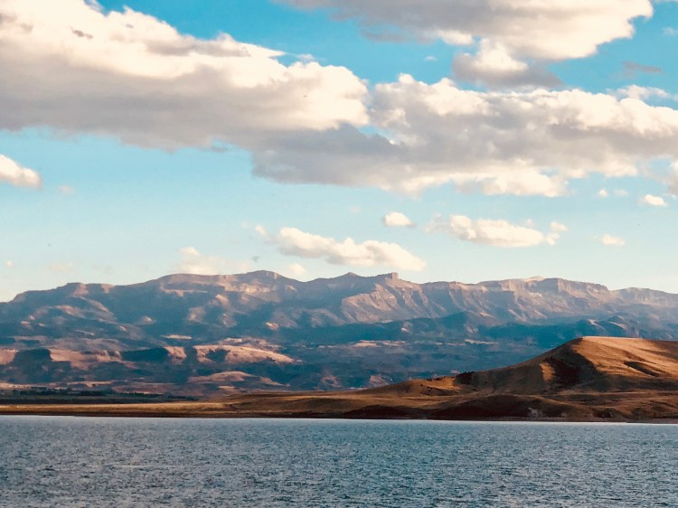 68F7EC8C-90B5-45F2-96AC-763176953690